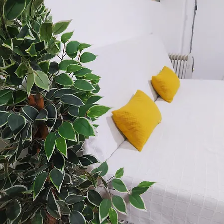 La Magdalena 3 * Córdoba